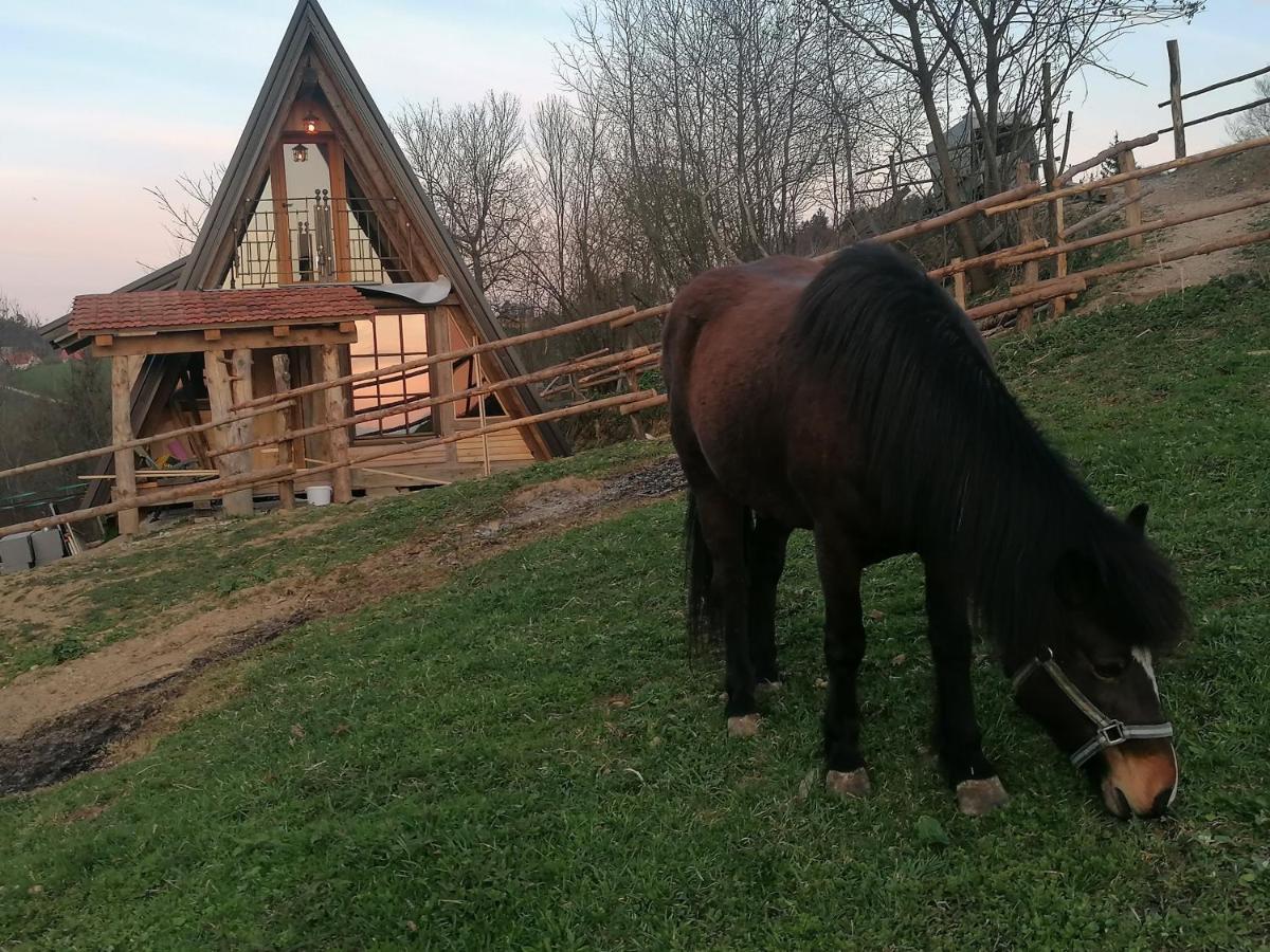 Ranch At Geta Konuk evi Razgorce Dış mekan fotoğraf