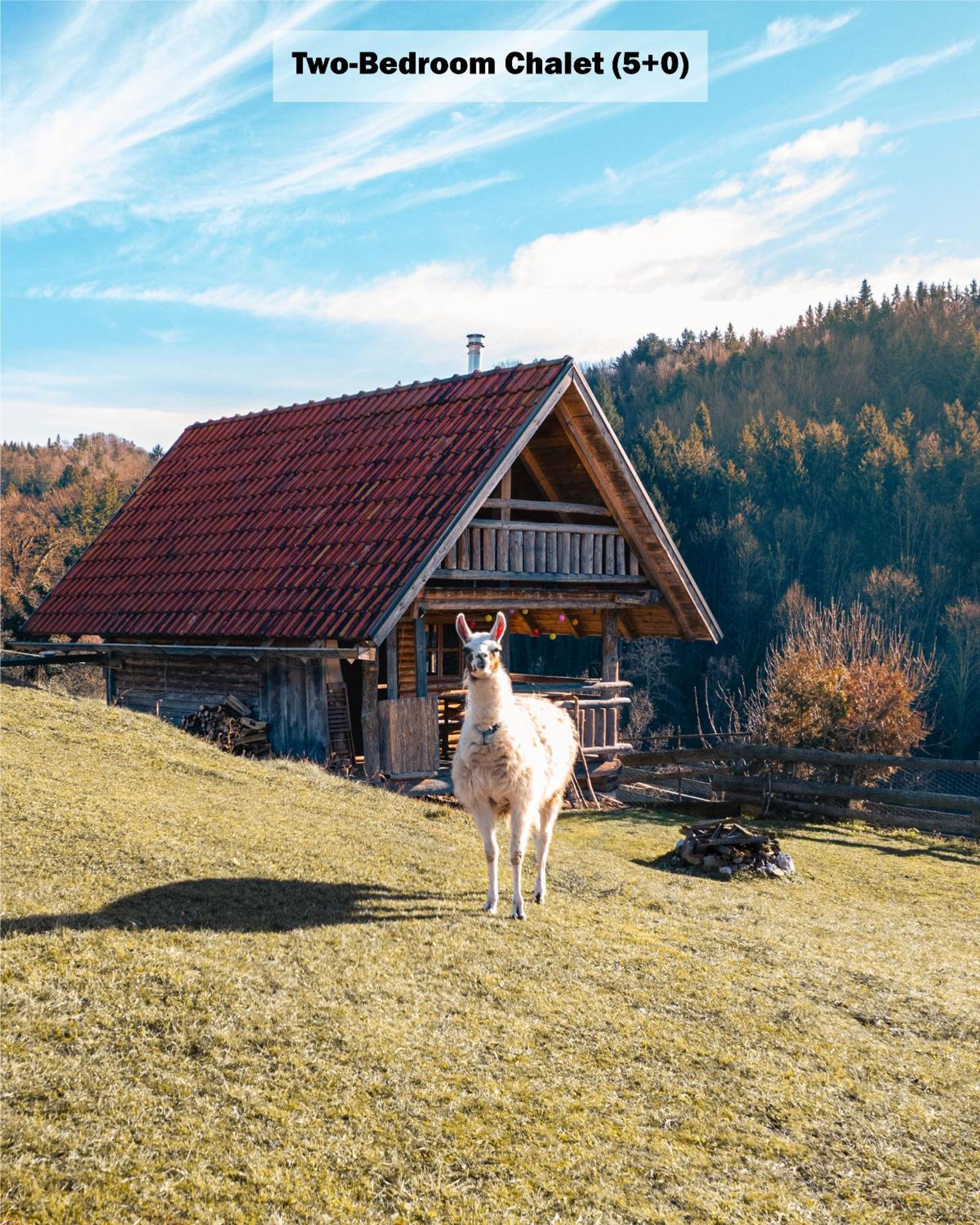 Ranch At Geta Konuk evi Razgorce Oda fotoğraf